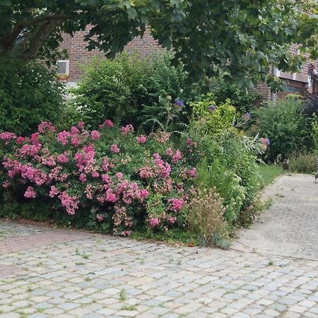 La Petite Maison Sart lez Walhain エクステリア 写真